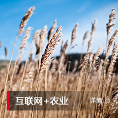 AG贵宾会·(中国游)集团首页