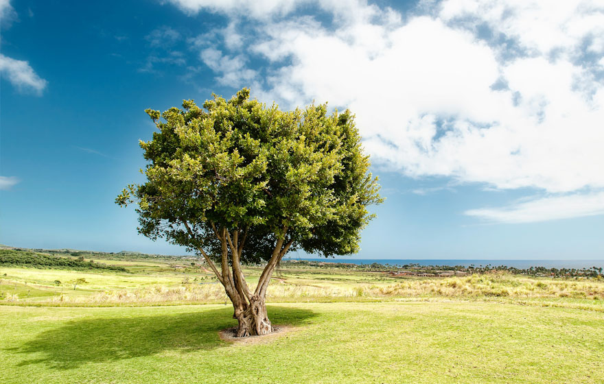 CA88(中国区)唯一官方网站